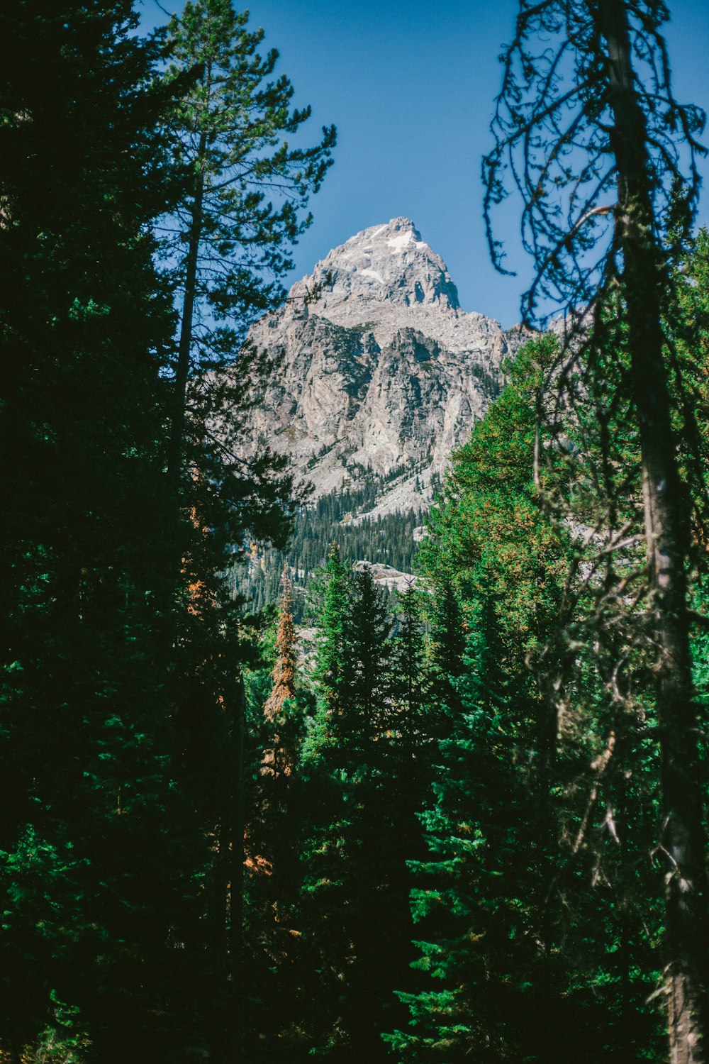 gray mountain and green trees under blue sky during daytime photo