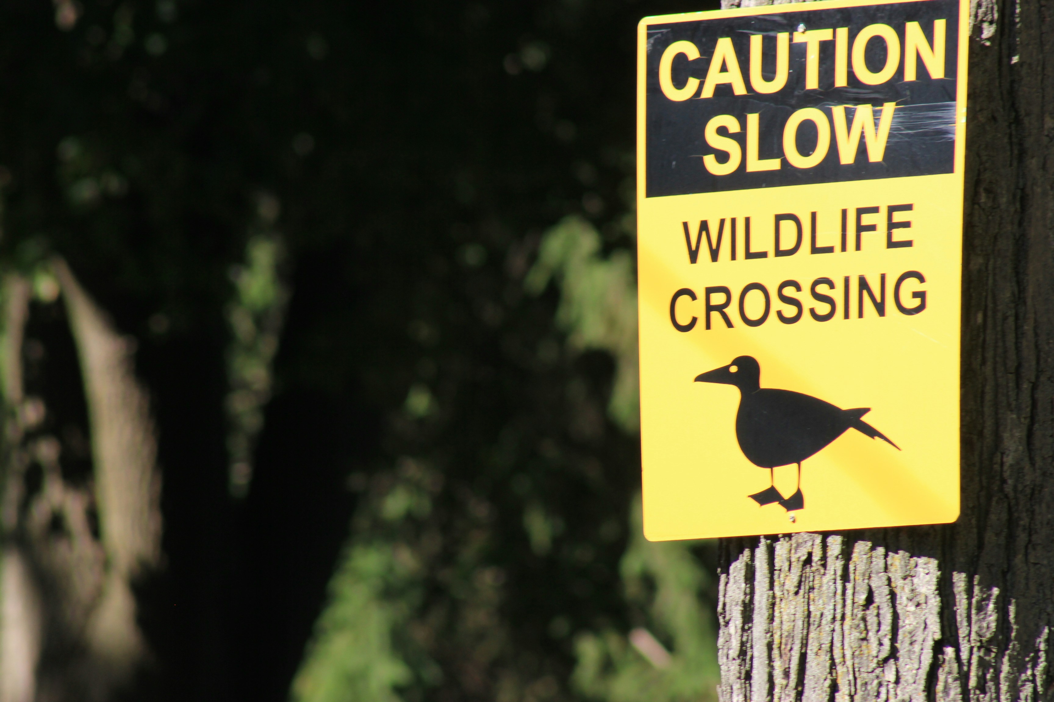 photo 1541723246777 2d125956202c?ixlib=rb 4.0