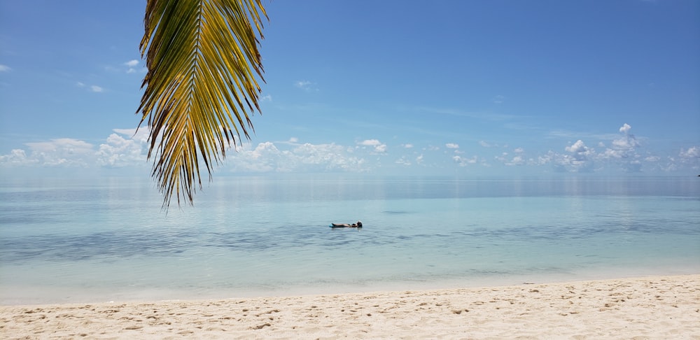 boat on the ocean photography