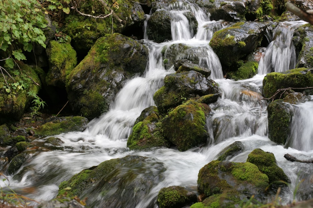 water swiming on rocks