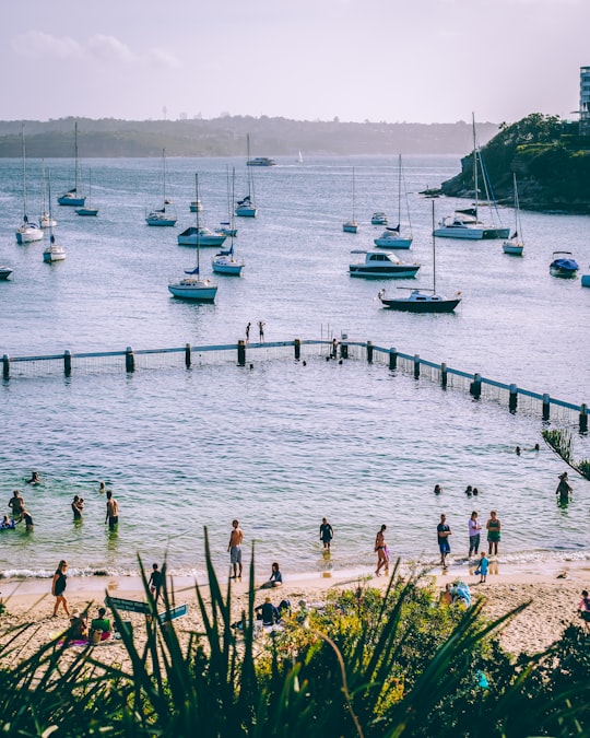 white sail boats at daytime in Manly Australia