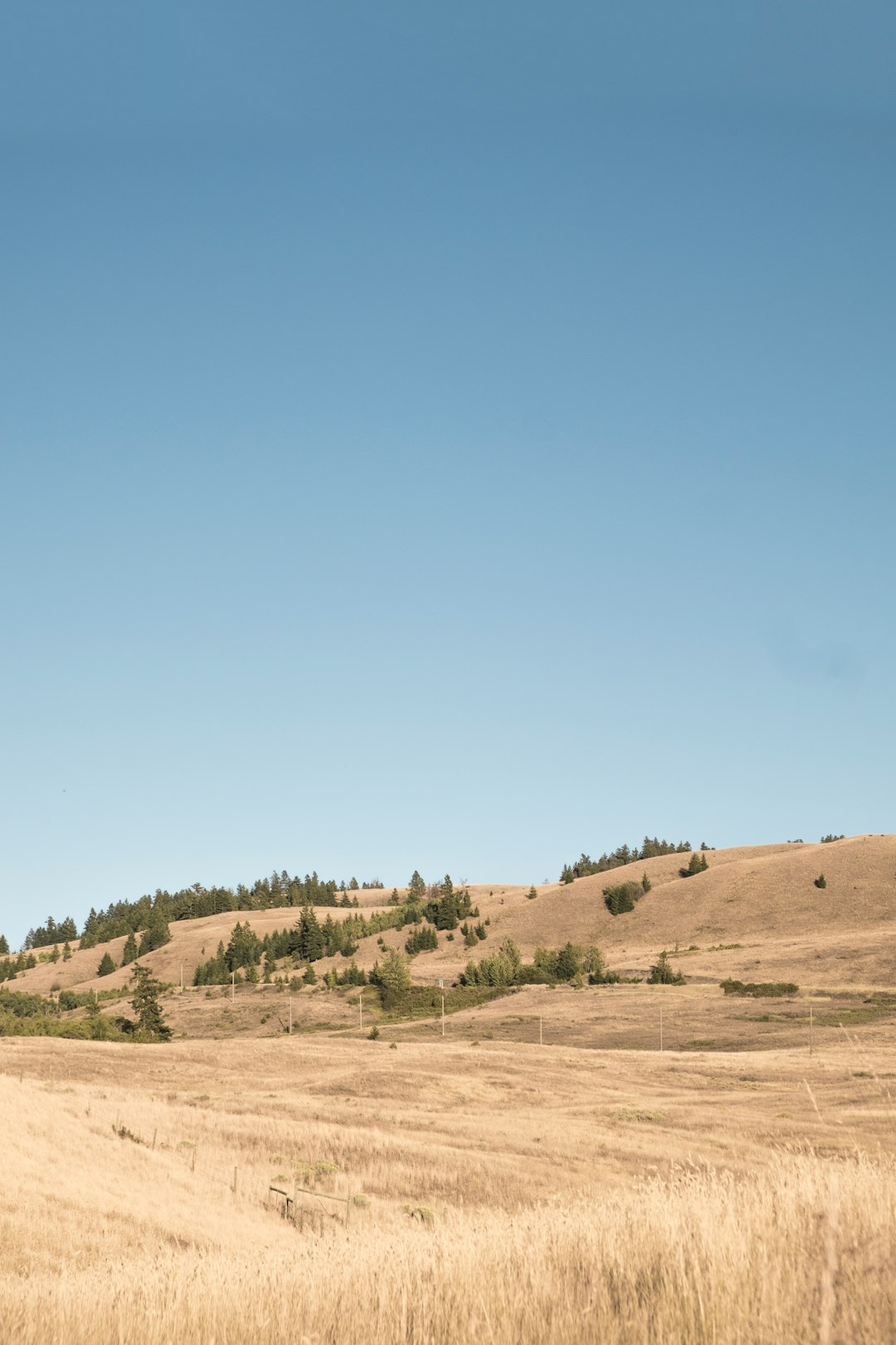 photo of Merritt Plain near Nicola Lake