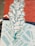 A mural features a stylized depiction of a white flower with blue-green outlines against a vibrant red background. Geometric patterns in light blue and white are interspersed, adding an abstract element to the composition.