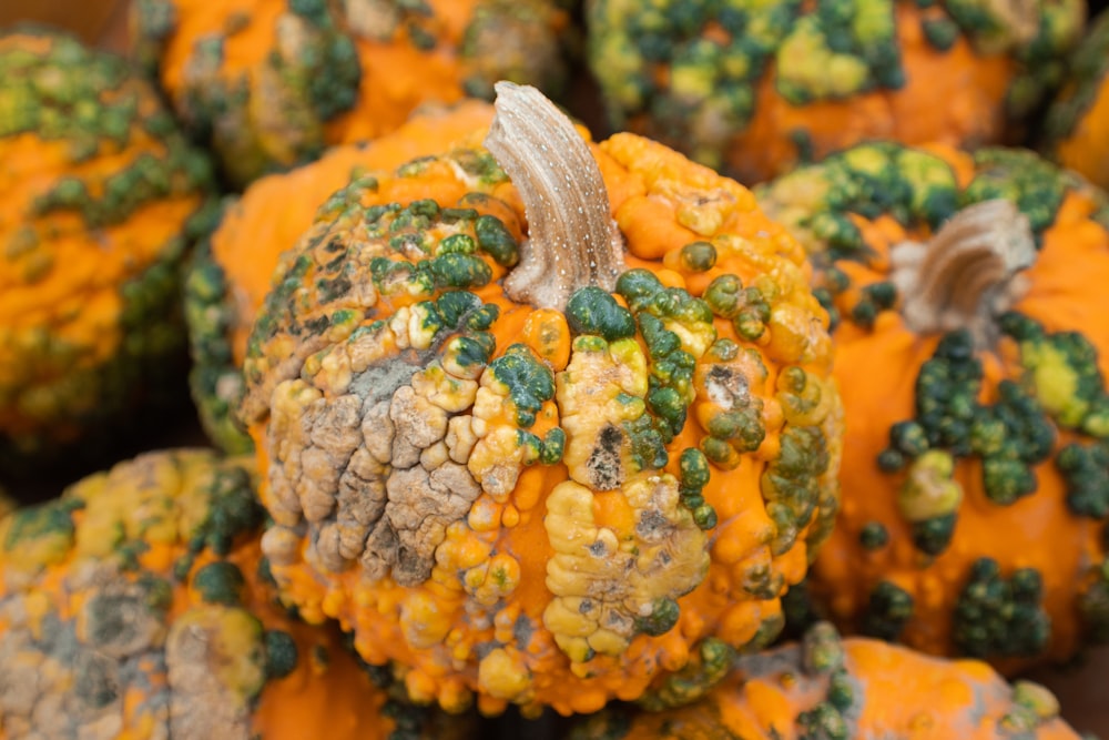 selective focus photograhpy orange pumpkins