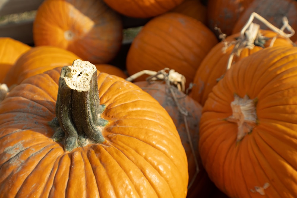 stack of pumpkins