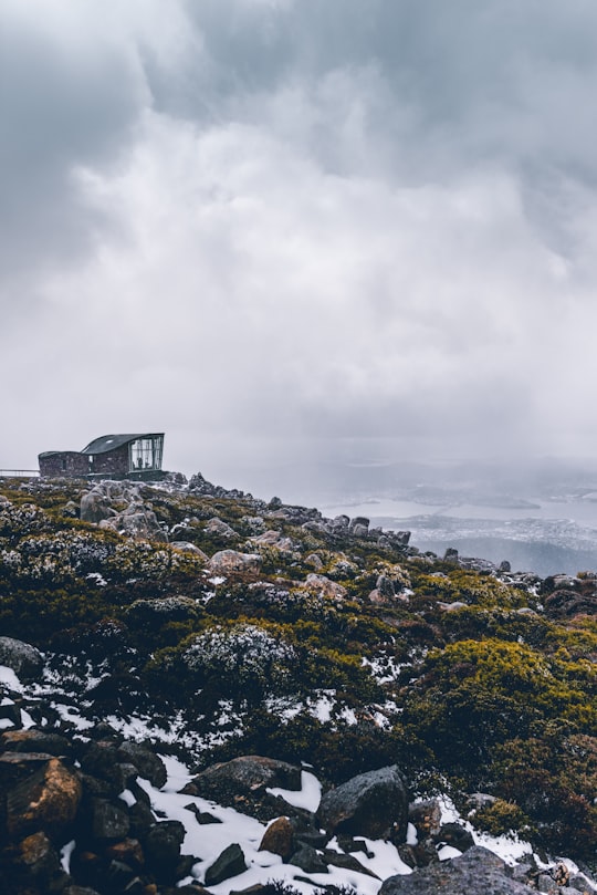 The Pinnacle things to do in Bushy Park TAS