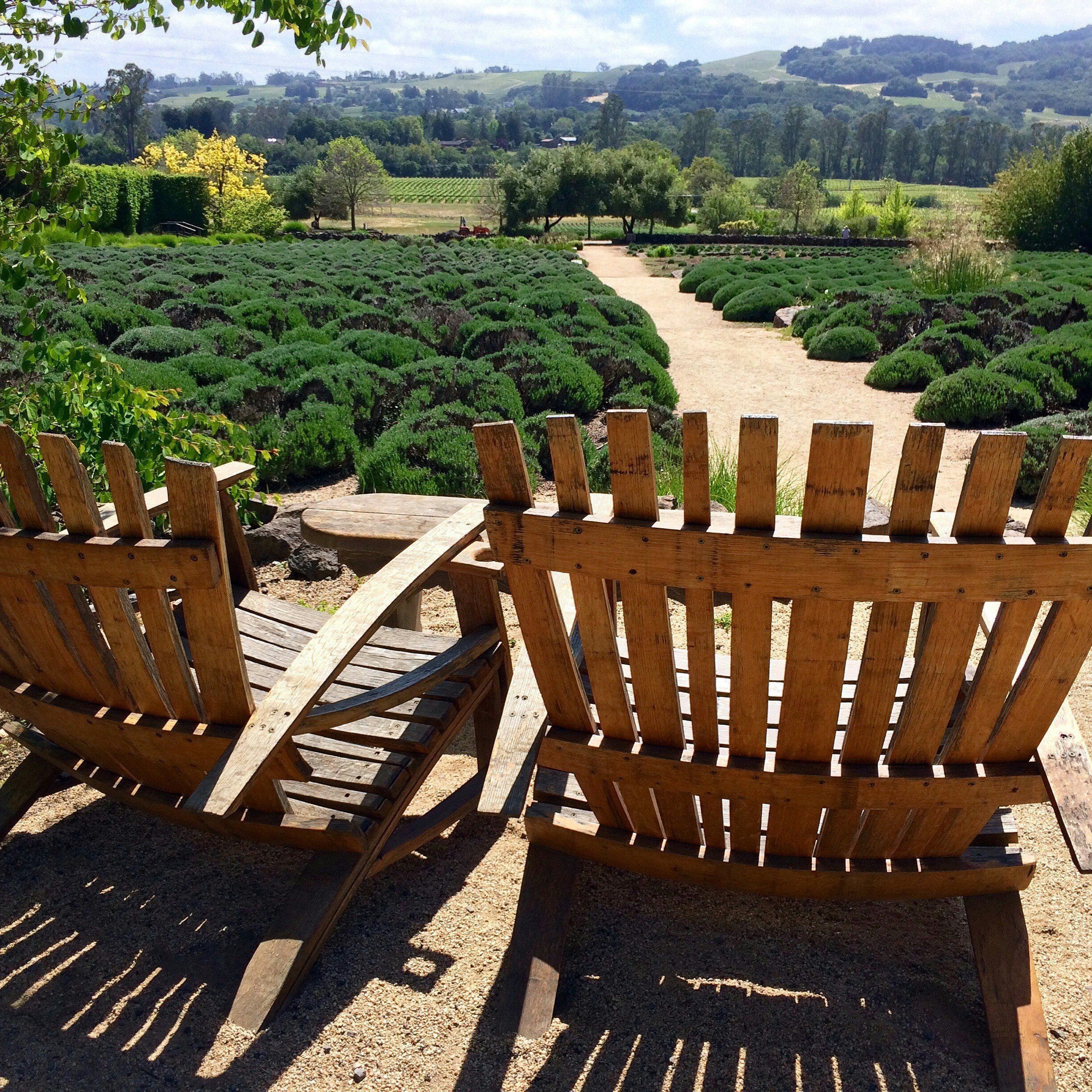 Adirondack Chair
