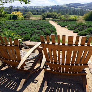 A stylish foldable outdoor adirondack chair set in a serene garden.