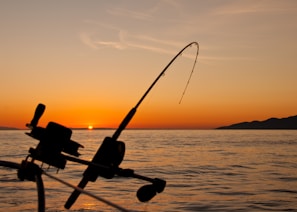 black fishing rod and body of water during golden hour