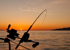 Penn spinning reel