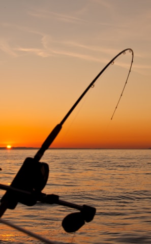 black fishing rod and body of water during golden hour