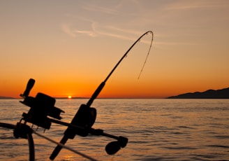 black fishing rod and body of water during golden hour