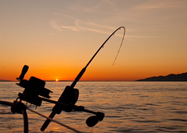 Golden hour fishing rod