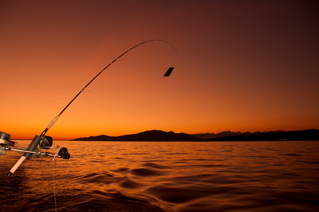 As the sun set we pulled in our rods and I got this one last picture before the sun disappeared.   Taken just of the coast of Vancouver while Salmon fishing.
