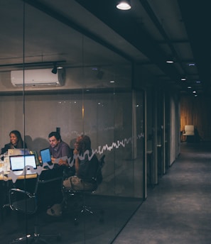 group of people having a meeting