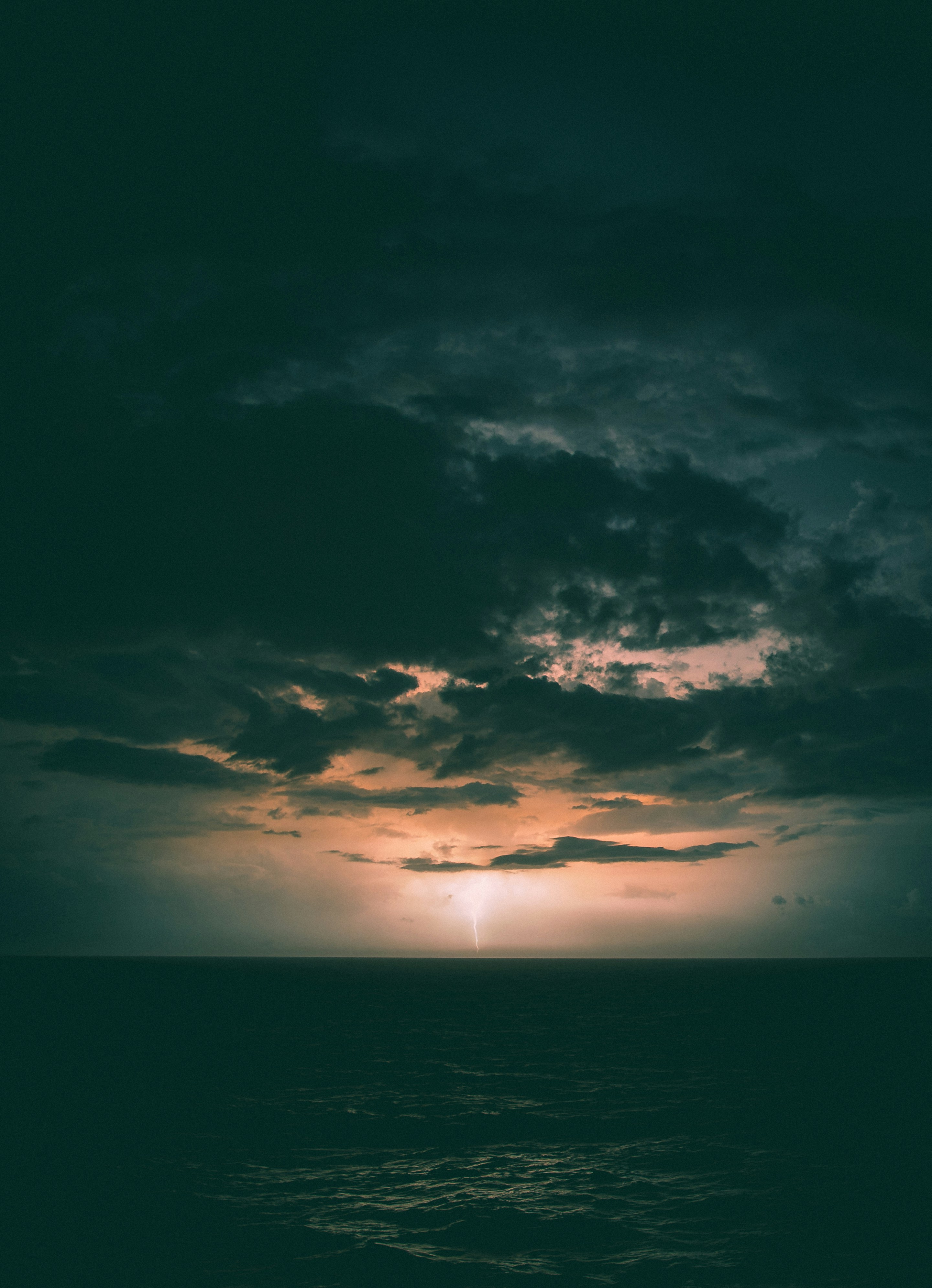 Photo by mischievous_penguins