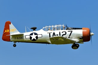 white and brown monoplane illustration