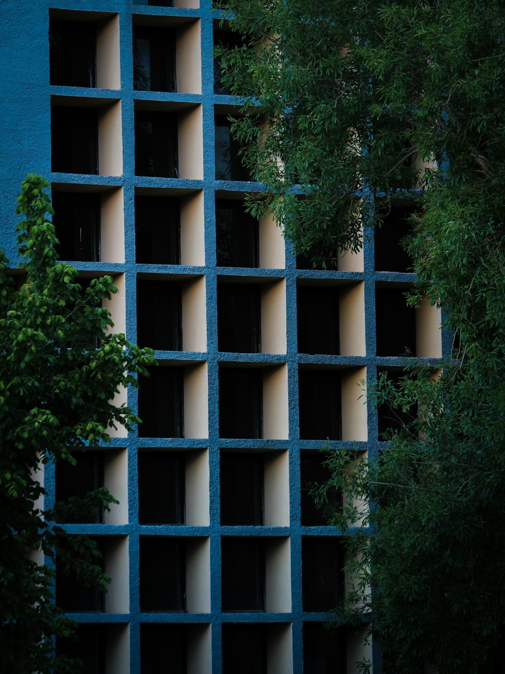 green leafed tree near building