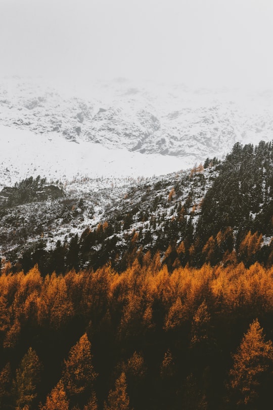 mountains with snow in Rieserferner-Ahrn Nature Park Italy