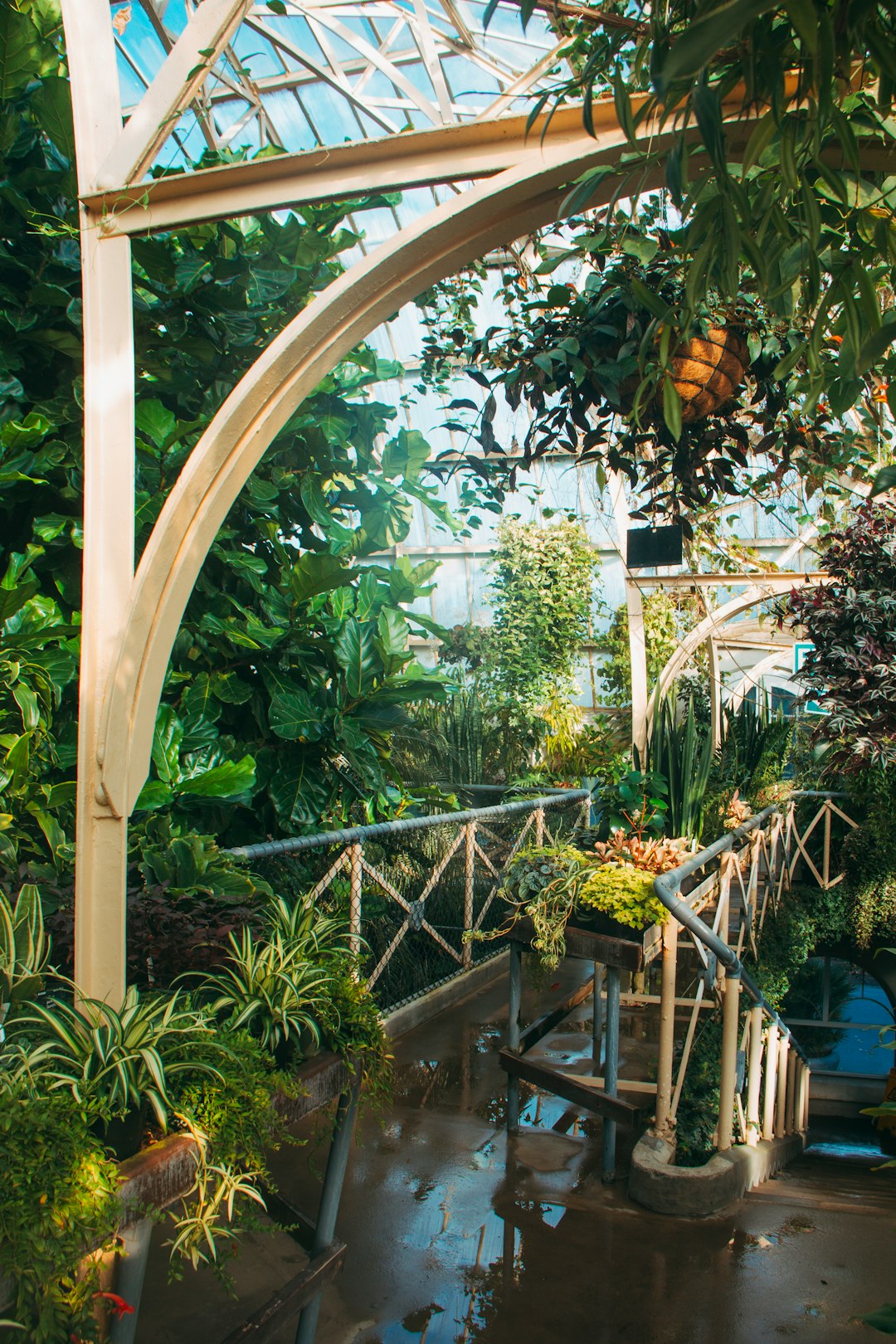 travelers stories about Rainforest in Christchurch Botanic Gardens, New Zealand