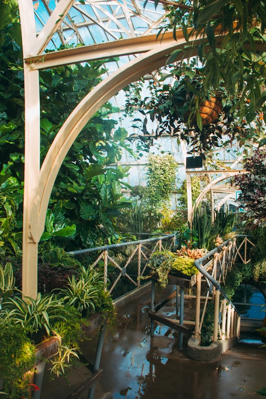 green-leafed plants in Christchurch Botanic Gardens New Zealand