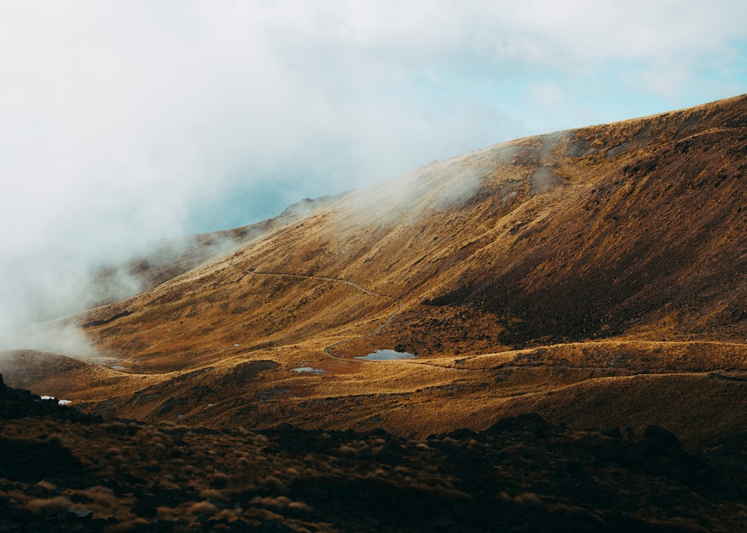 travelers stories about Hill in Kepler Track, New Zealand