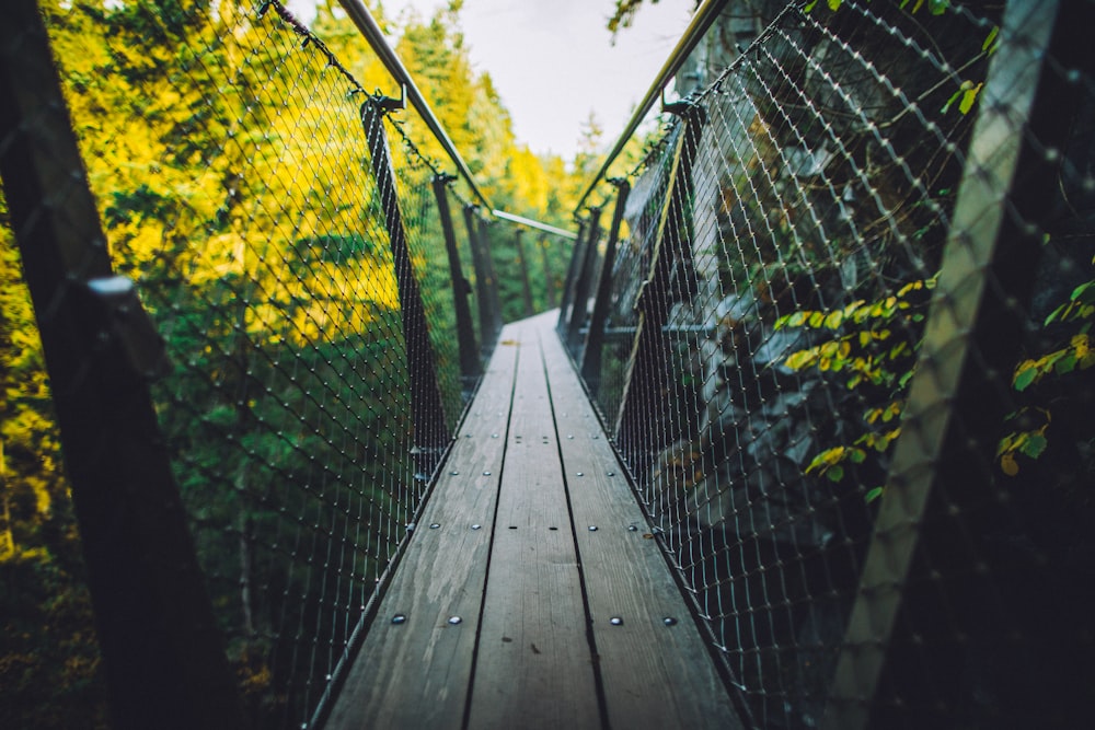 Puente de madera marrón