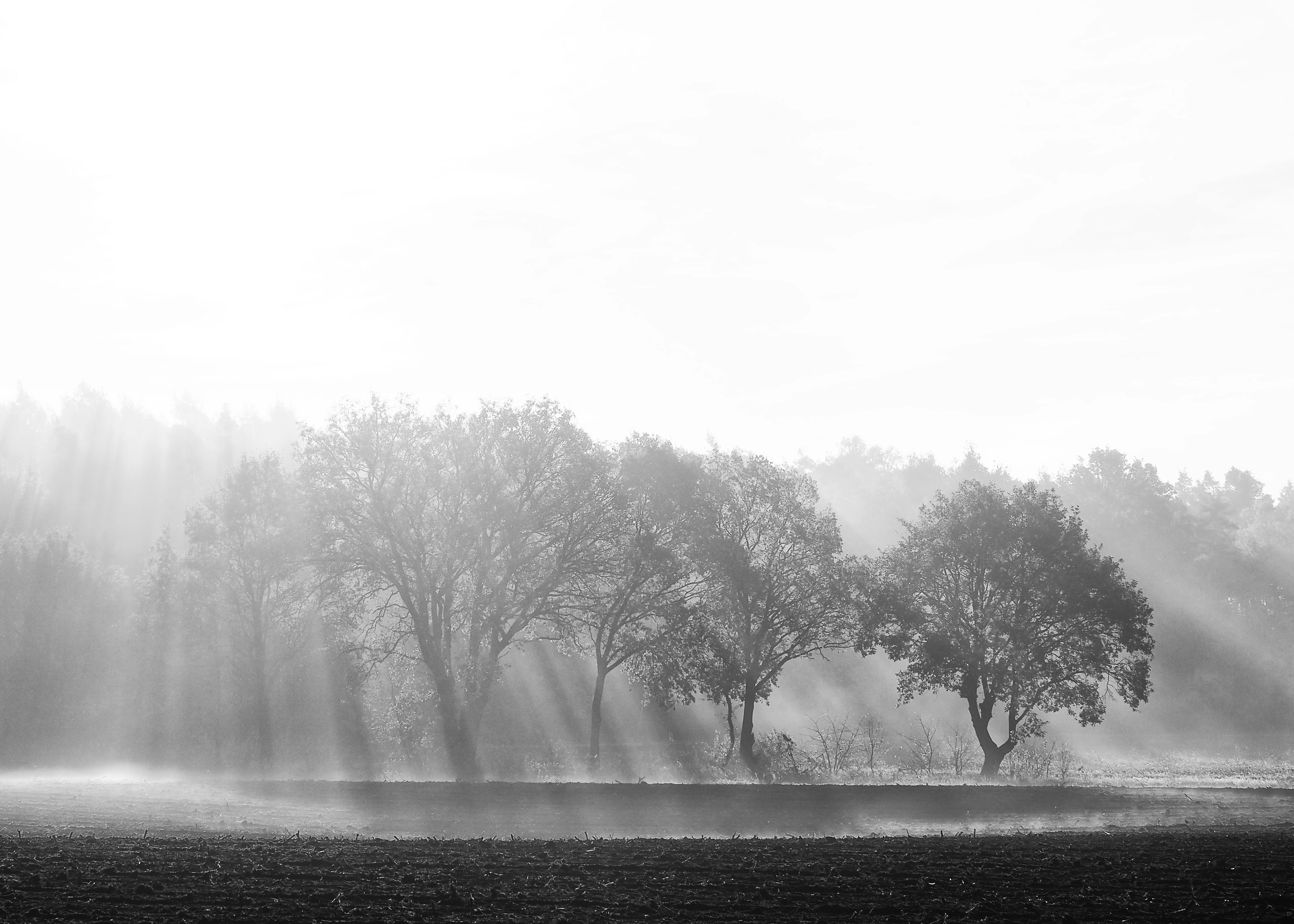 After sunrise the sun started defrosting the land, an amazing vieuw, every minute the circle around the trees was getting bigger.