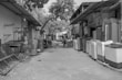 A narrow street lined with various household appliances such as washing machines and refrigerators. The appliances are placed on either side of the street, outside small shops with corrugated roofs. A few people can be seen engaging in different activities, including a person on a motorbike. A dog stands in the middle of the street. Trees and branches stretch overhead, providing some shade.