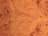 A detailed view of polished wooden burl, showcasing intricate swirling patterns and knots. The wood grain displays natural variations and unique formations, presenting a warm and appealing visual texture.