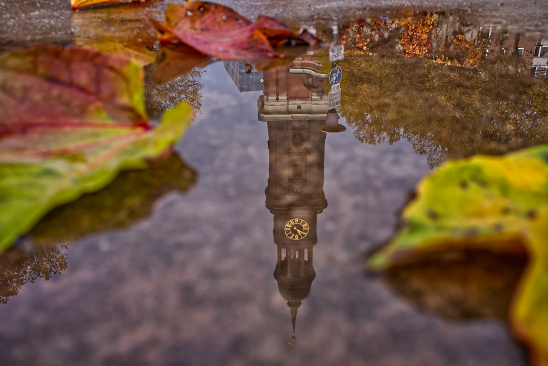 clock tower reflecting on water