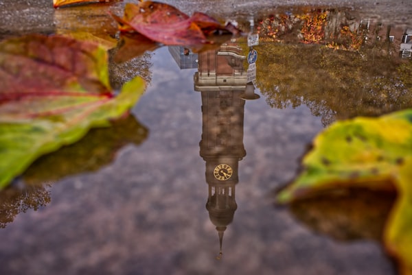 clocktower reflected in puddle