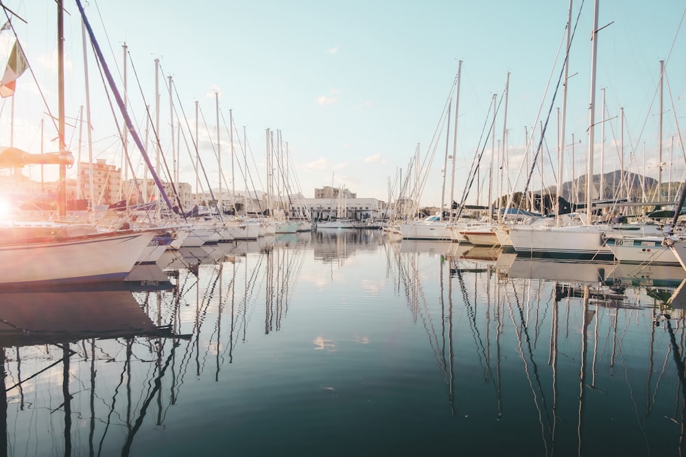 barca a vela bianca in specchio d'acqua durante il giorno