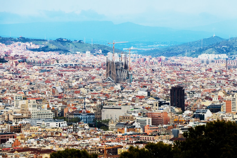 buildings during daytime