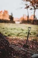 Garden equipment including shovels and rakes in a vibrant setting.