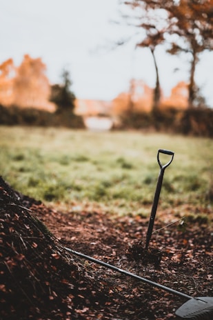 A sturdy garden shovel leaning against a wooden fence with soil and plants around.