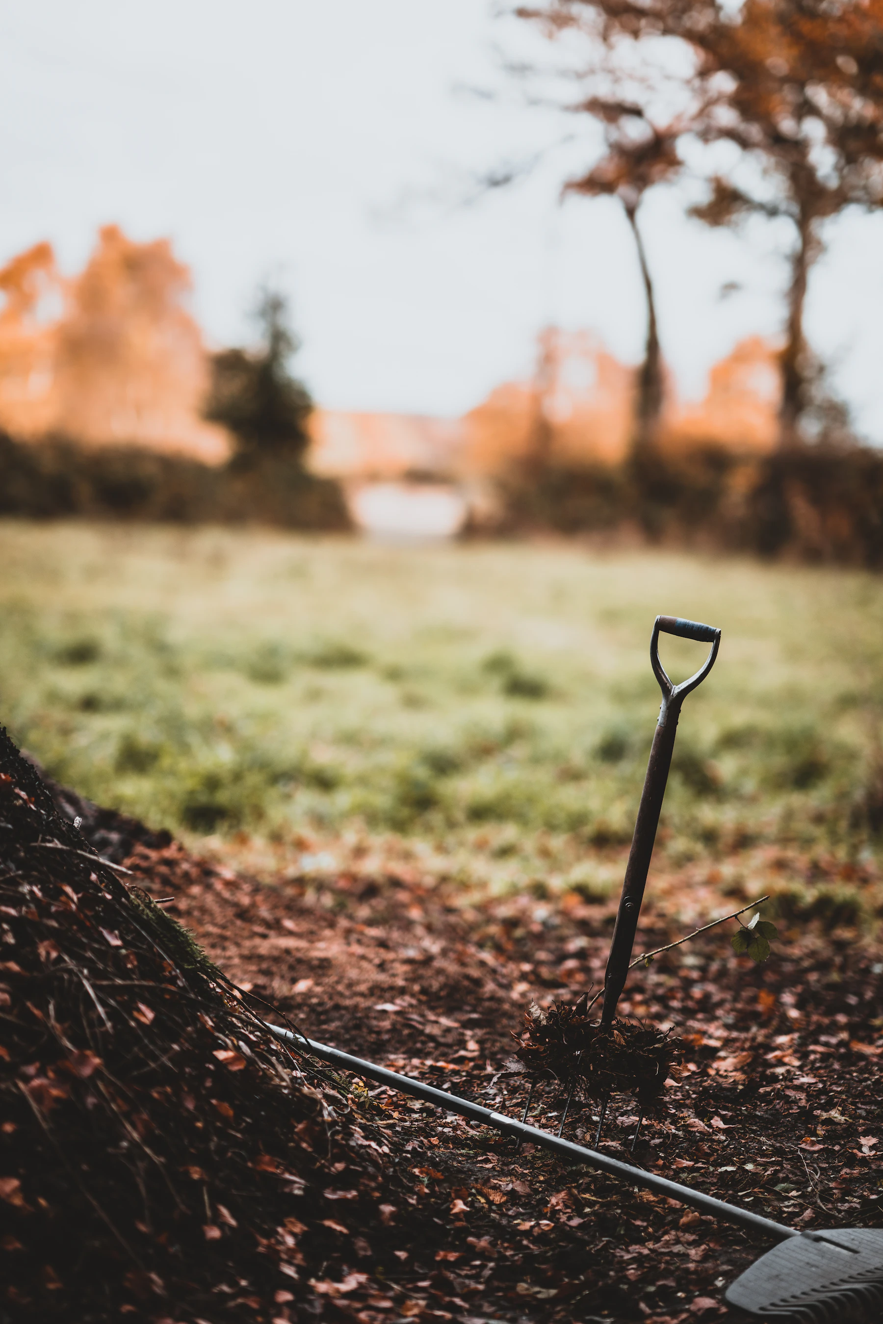 A garden fork standing upright in the ground beside a dark heap, with orange fall trees out of focus behind