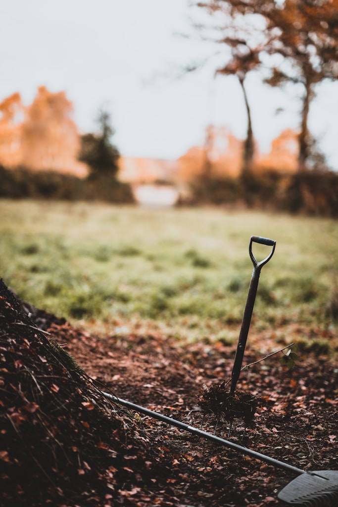 Compost Activator