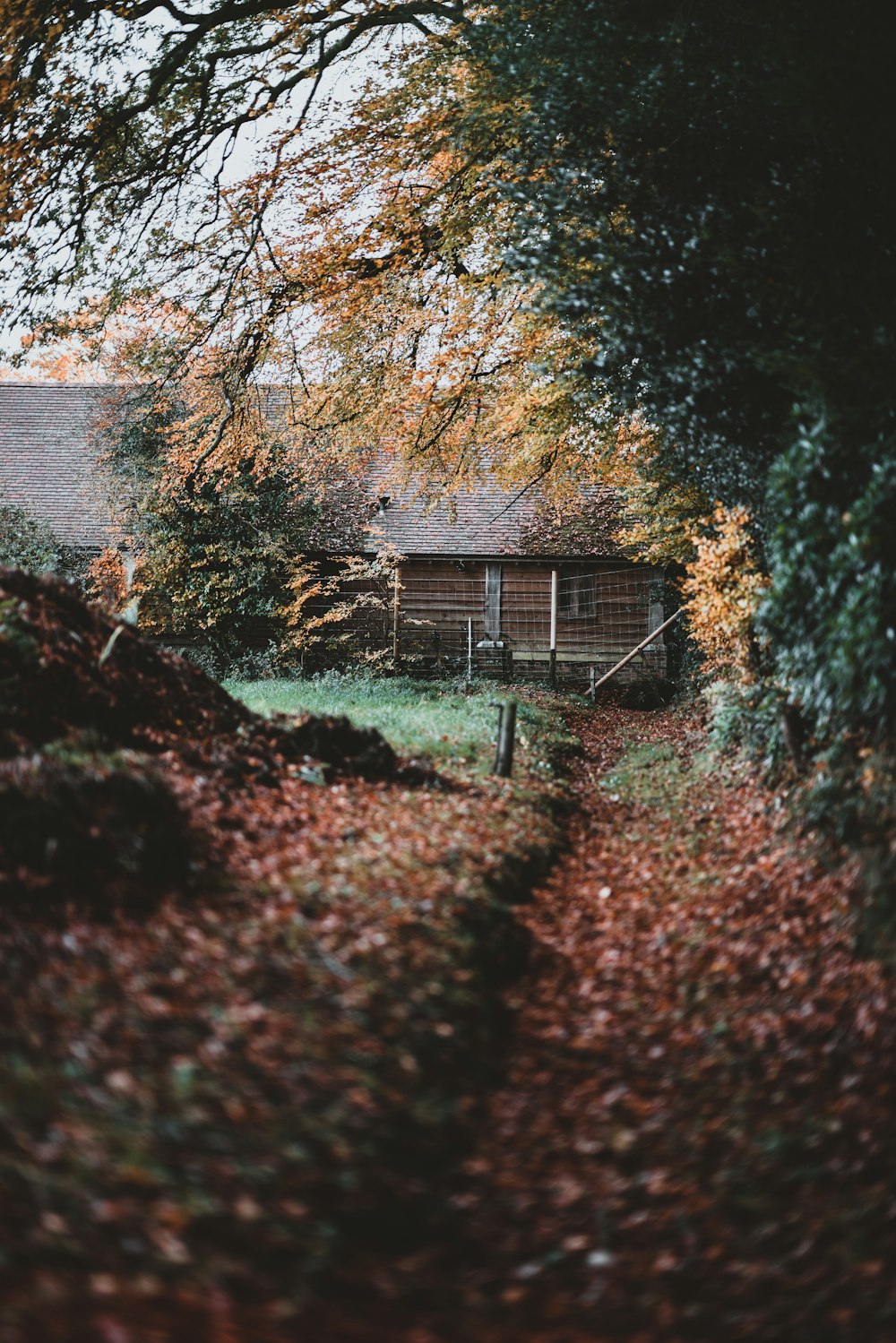 house surrounded by trees during daytime