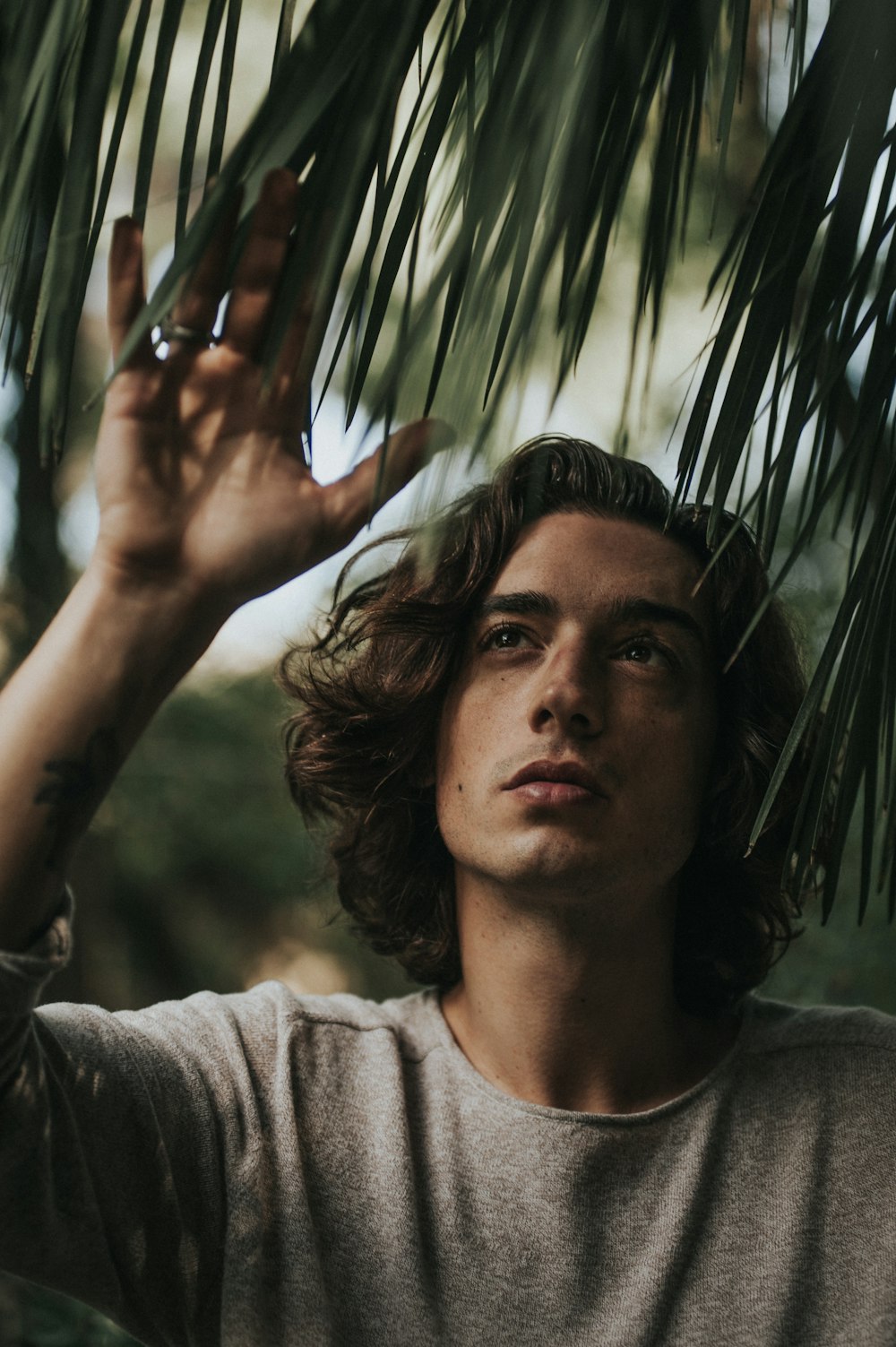 man in grey shirt standing under green palm tree