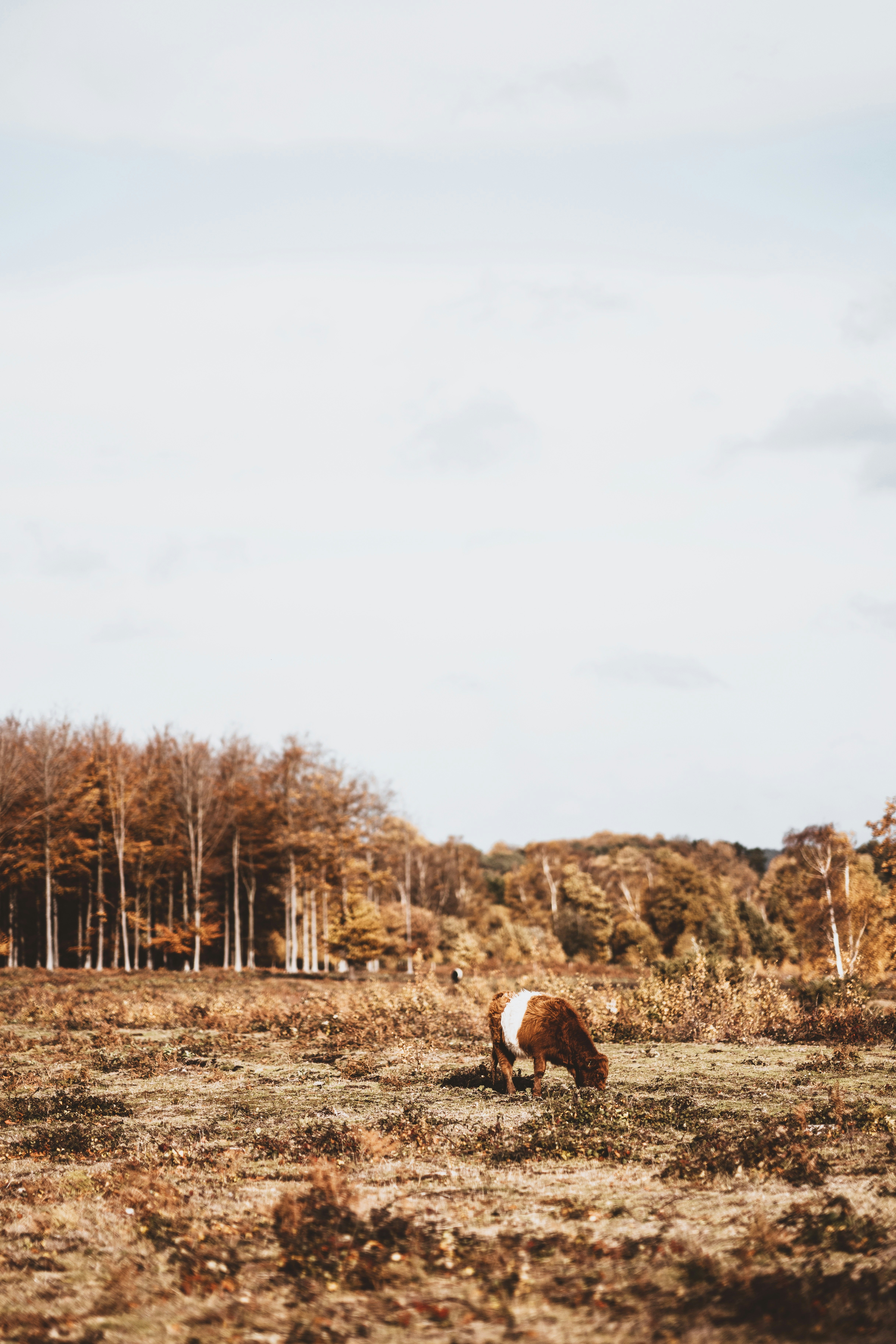 Photo by anniespratt