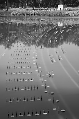 An expansive water fountain installation with multiple rows of water nozzles is situated on a reflective water surface. In the background, a landscaped area with bushes and trees is visible, and several people are walking along a pathway.