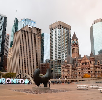 brown high-rise buildings near park cleaned by the best cleaning company in toronto