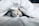 white cat sleeps under white comforter