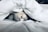 white cat sleeps under white comforter