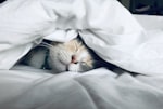 Sleep and magnesium
