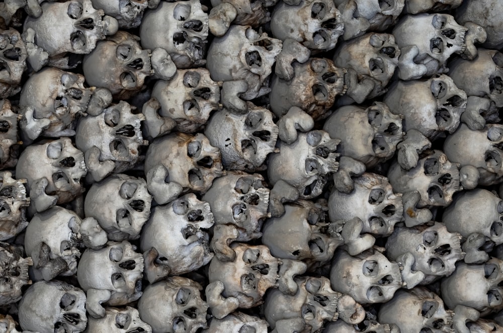 skull digital wallpaper