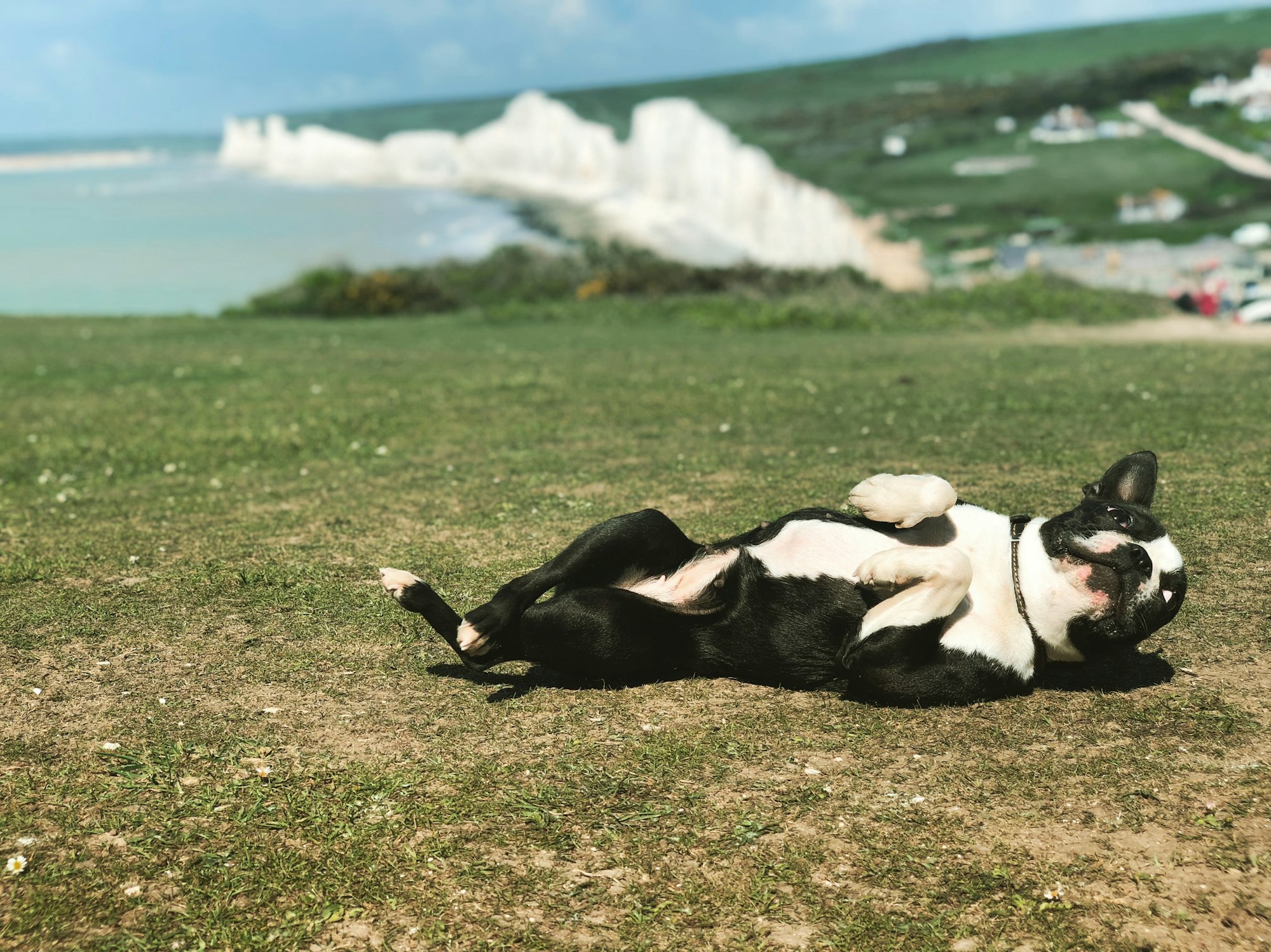 Wilma Sunbathing