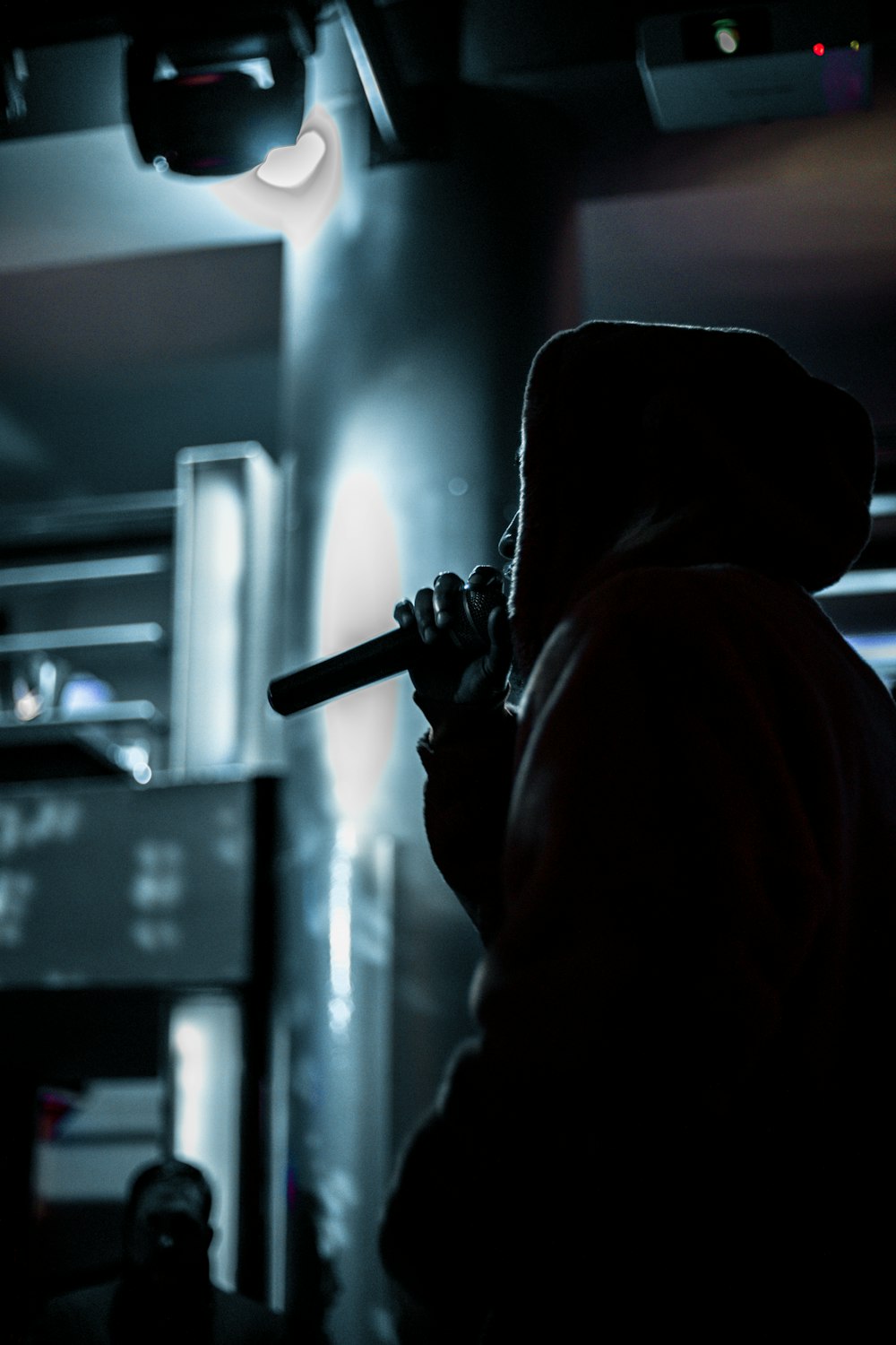 person in standing position while holding microphone