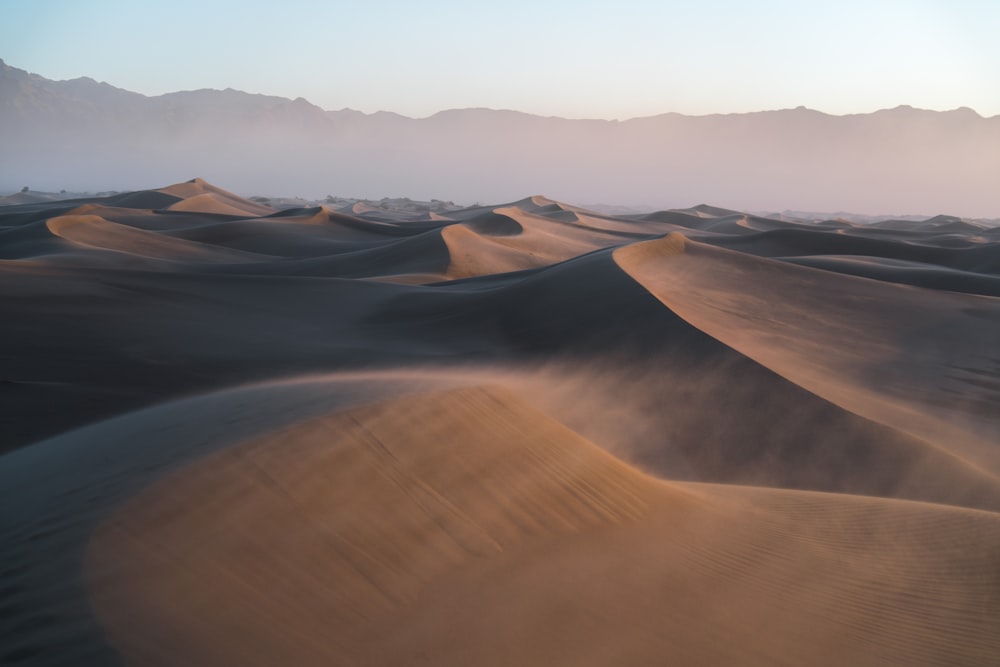 desert photography during daytime